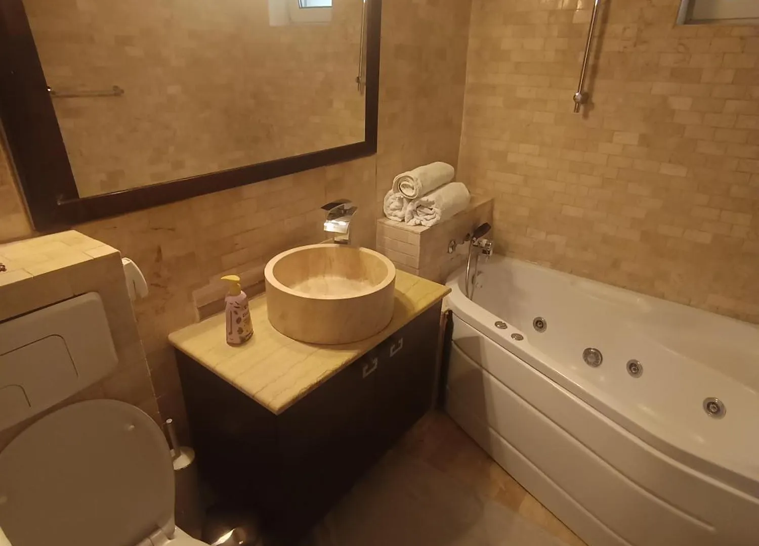 Nicolae Caramfil Appartment Bukarest Apartment